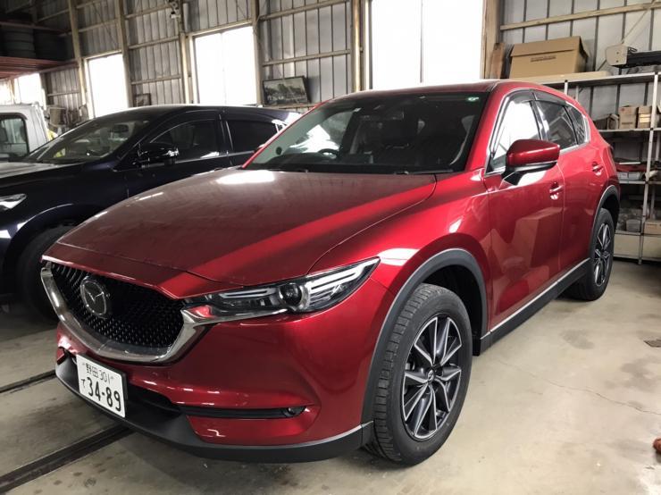 この車、安全機能が大変優れています。