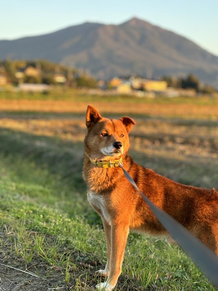 本年も宜しくお願い申し上げます　🎍😊🎍